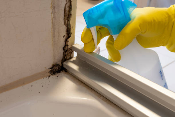 Best Mold Testing  in Broussard, LA