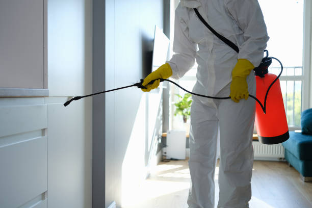 Best Mold Testing  in Broussard, LA