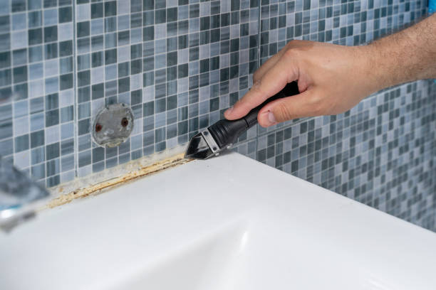 Best Local Mold Removal Service  in Broussard, LA