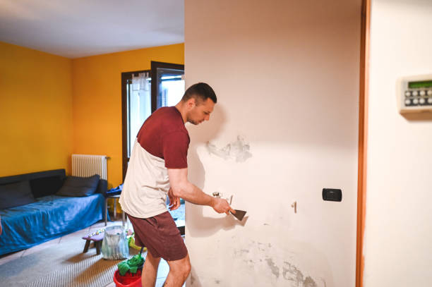 Best Fast Mold Removal  in Broussard, LA